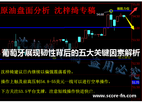 葡萄牙展现韧性背后的五大关键因素解析